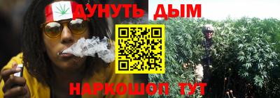 индика Кунгур