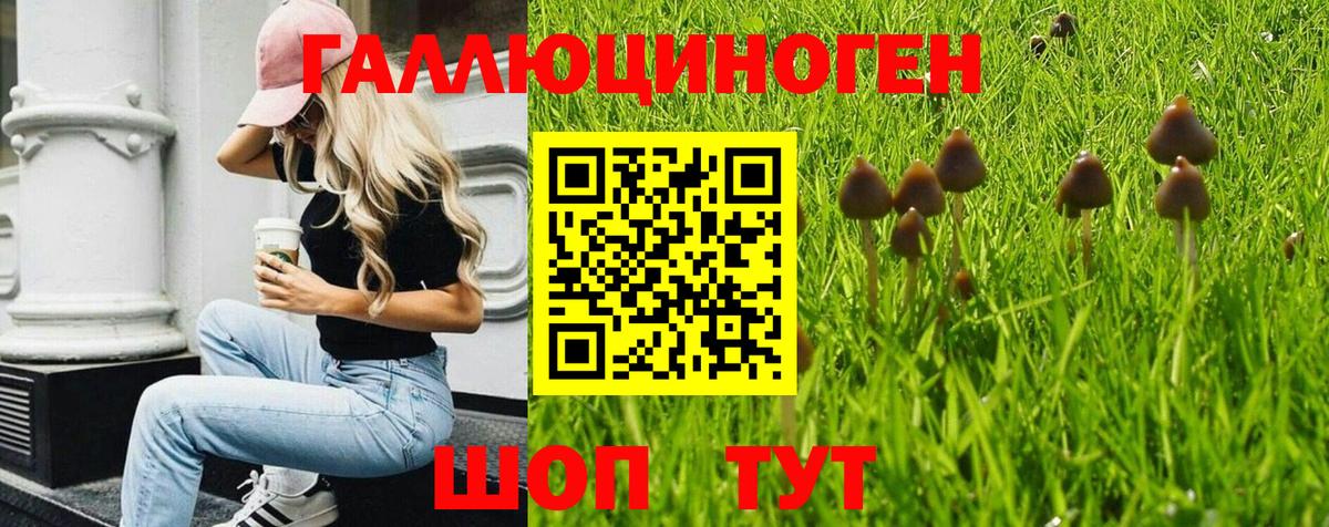 Галлюциногенные грибы Magic Shrooms  купить наркотики цена  Киселёвск  Вход с VPN 