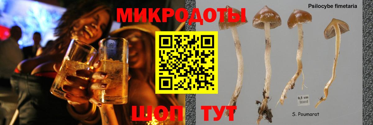 Псилоцибиновые грибы MAGIC MUSHROOMS Киселёвск